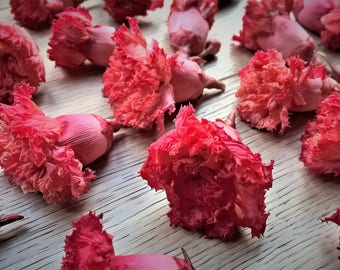 Preserved Carnations - Coral Carnations 1" - 2" Wide (20 roses)