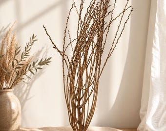 Dried Date Palm Branch Tree Decor, 60cm Rustic Botanical Stems, Boho Vase Filler (60cm)