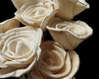 10 x Sola Roses 6 cm Stemmed - Wedding Flowers - Bridal Bouquets - Floral Arrangement