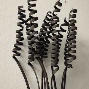 Dried Black Caine Spring Stems - Home Decoration - Rustic Bouquets - Wreaths