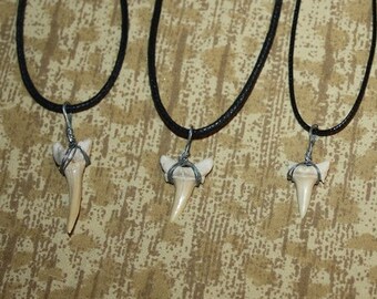 Shark Tooth / Shark Teeth - Necklace, Earrings, or Choker - SELECT STYLE