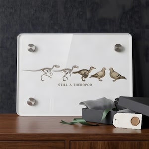 May include: A rectangular white acrylic wall plaque featuring a horizontal evolutionary sequence from two dinosaur skeletons to a feathered theropod and two pigeons, with the text STILL A THEROPOD printed in black below the figures.