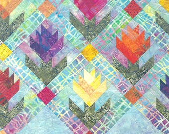 Focus on Batiks quilt book from C&T Publishing