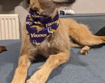 vikings dog shirt