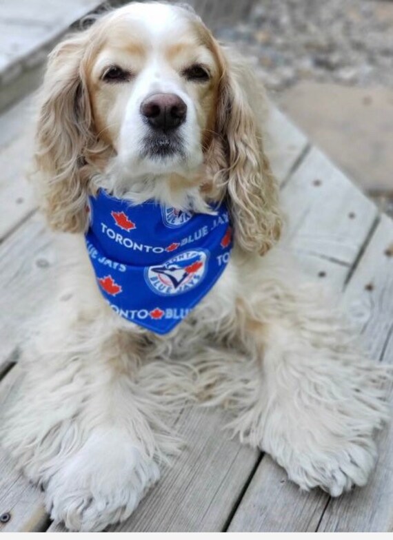 dog bandanas toronto