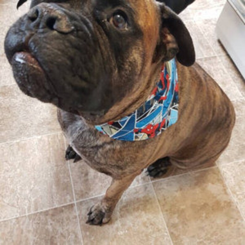 spiderman dog bandana