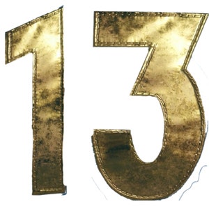 FALLOUT 13 (Printed / Fake Metallic Looking) - Vault-suit numbers -  21 cm tall Cosplay Costume Patch
