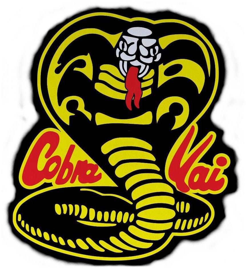 Cobra Kai Dojo Karate Back Patch Logo & 1 Small Front Dojo - Etsy Canada