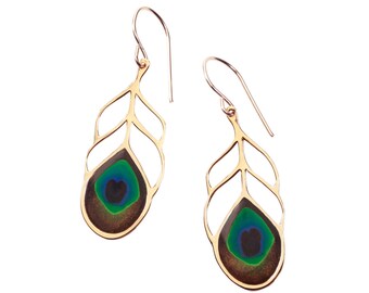Millefiori Polymer Clay Peacock Feather Earrings, Gold Plated Sterling Silver