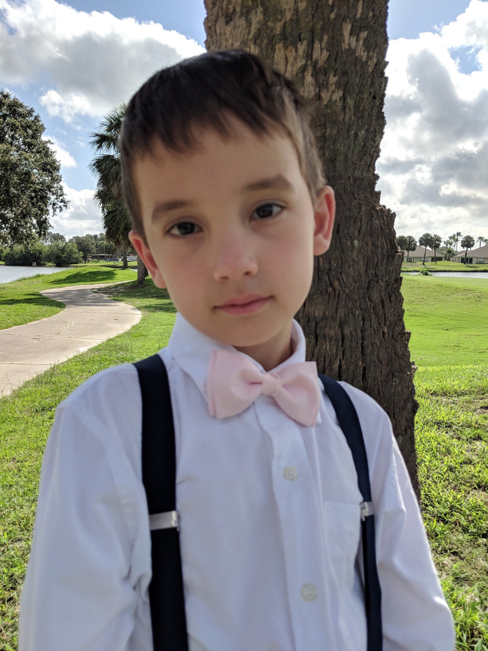 Blush Pink Bow Tie and Navy Blue Suspenders Set/ Two Piece Etsy