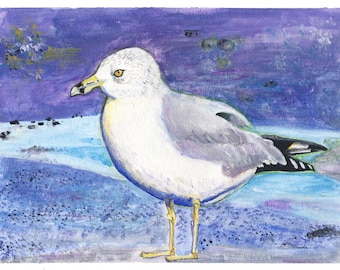Seagull