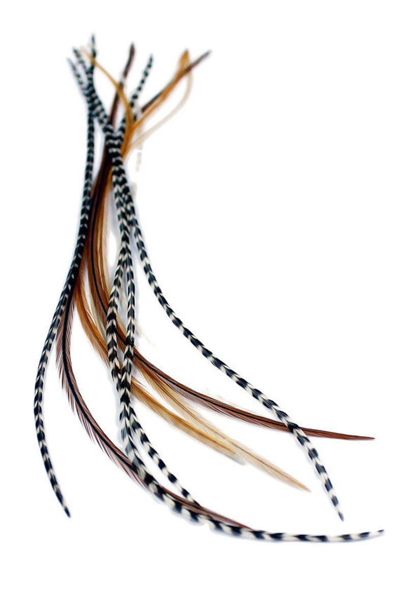 Real Feather Hair Extensions Mixed Naturals Etsy