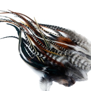 May include: A collection of long, colorful feathers with black, white, brown, and green patterns. The feathers are arranged in a fan shape and are ready to be used for crafting or decoration.
