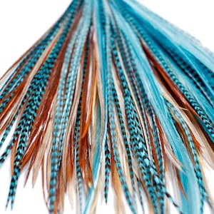 May include: A bunch of long, teal and brown feathers with black markings. The feathers are arranged in a fan shape.