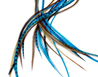 Extensions de cheveux en vraies plumes : 7 longues 11-13 pouces Blue Naturals + anneaux / boucle