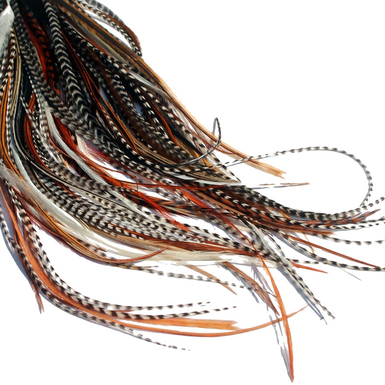 20 extensions de cheveux en plumes véritables : B-Grade Mixed Naturals Rings/Loop image 1