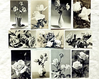 Roses on Postcards, Vintage 1960s-70s, Black and White real photos