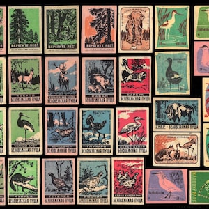 Matchbox Labels No. 5, DIGITAL. Aminals, Birds, Russia, USSR,  Vintage 1960s, Instant Download 300 DPI