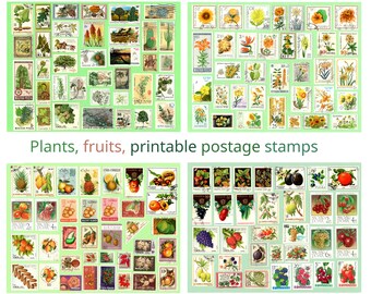 Plants and fruits, DIGITAL Postage Stamps. Yellow flowers. Botanical. Vintage, ca. 1950-1980. Instant Download, Printable 300 DPI