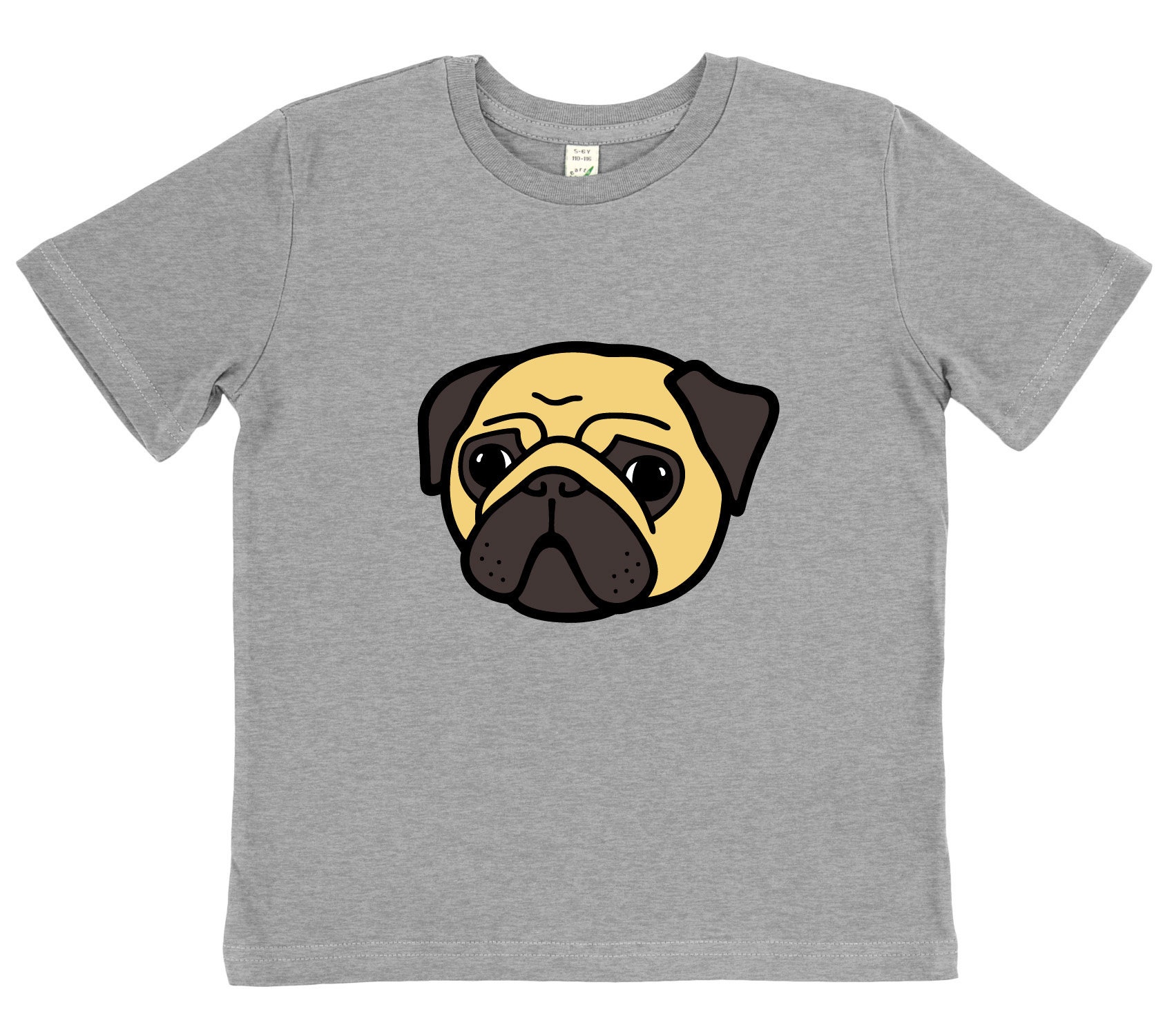 pug with shirt