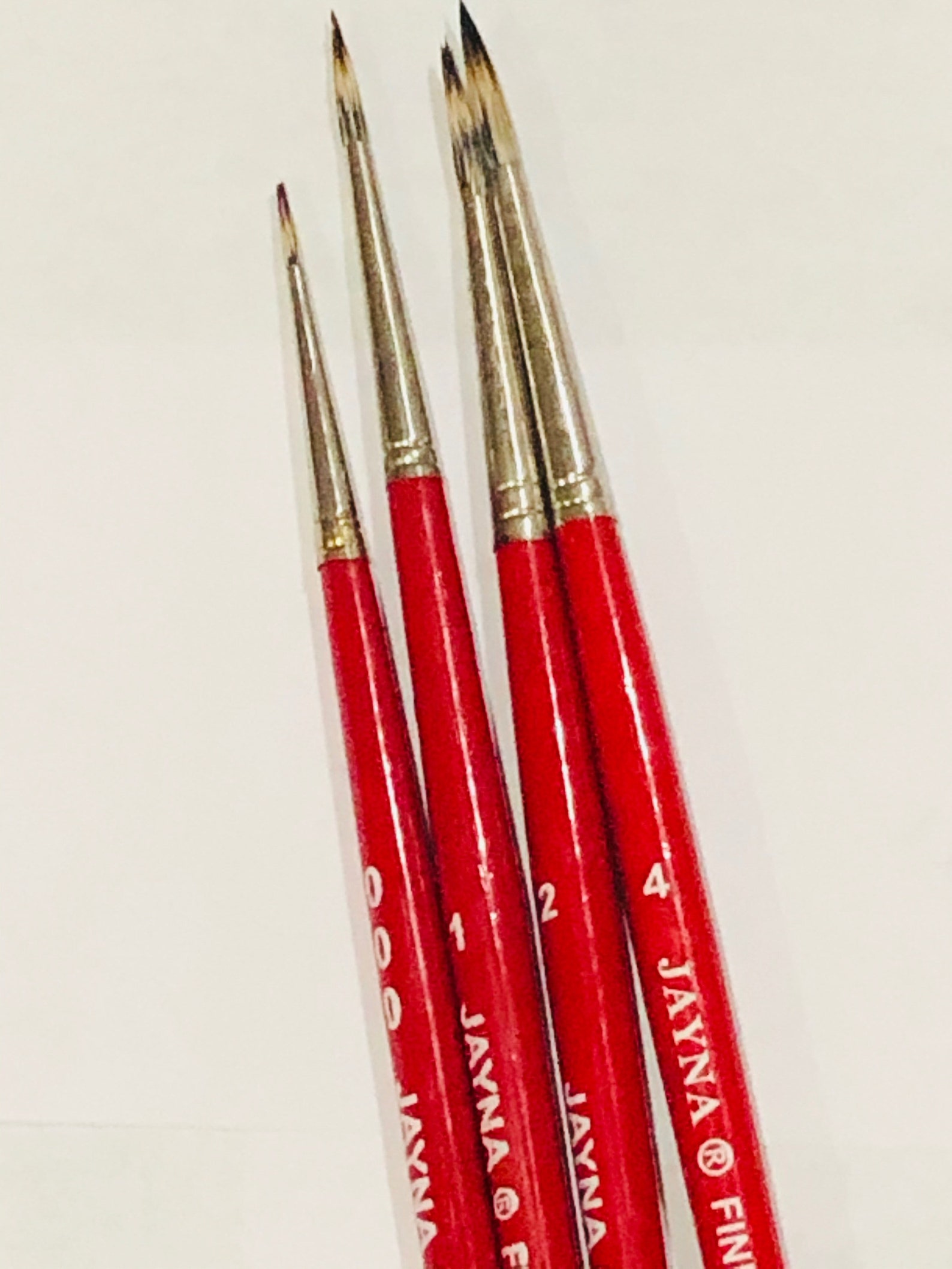 Jayna Fine Hair Artist Quality Brush Set Watercolor Poster Etsy