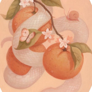 Albino Snake with Oranges - Creepy Cute Illustration