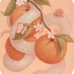 Albino Snake with Oranges - Creepy Cute Illustration