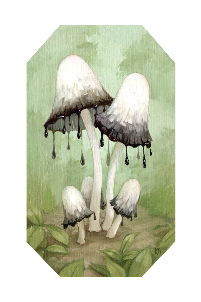 Ink Cap Mushrooms 4x6 Mini Art Print Etsy