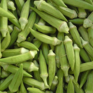 Okra Gumbo Frön: 50 grekiska arvegetariska frön