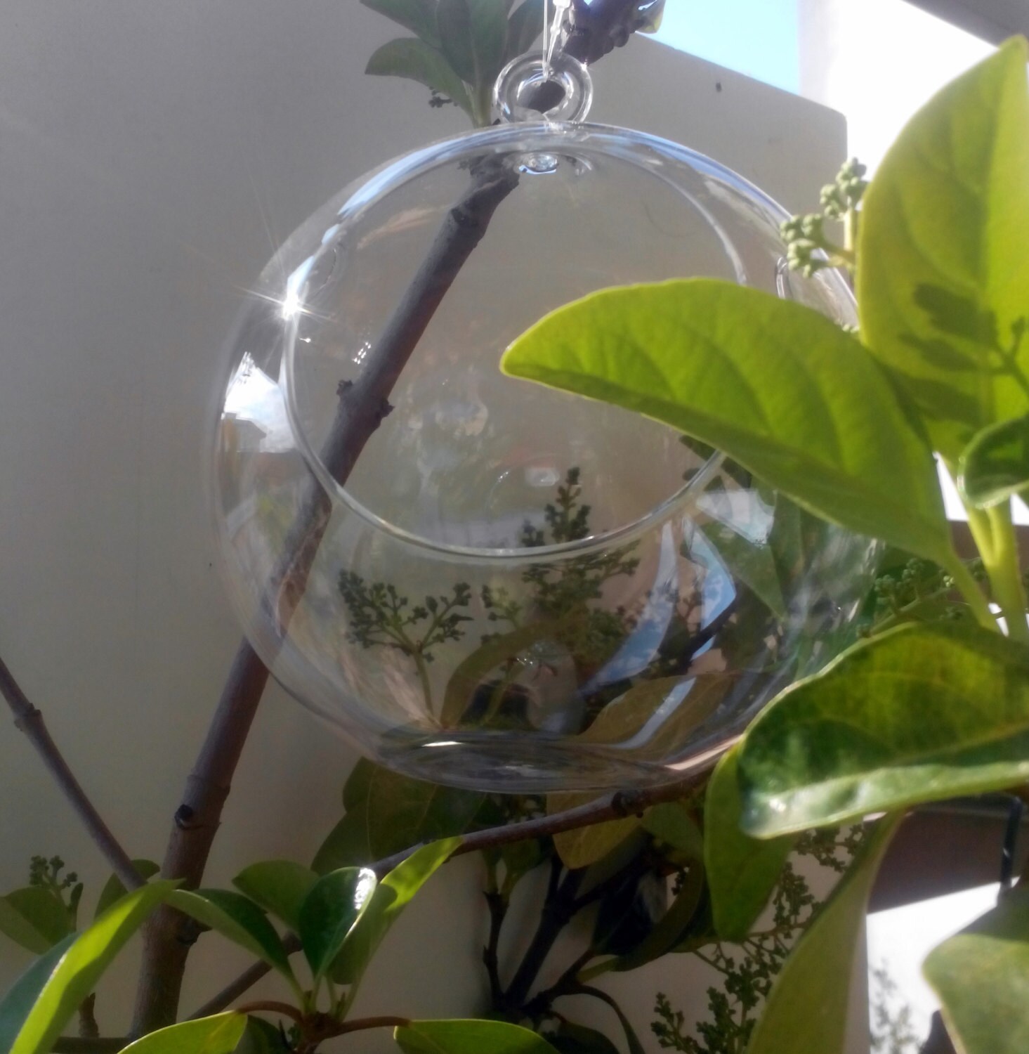 Terrarium Glass Globe Tea Light Glass Holder Etsy
