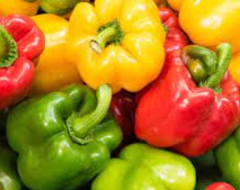 Colorful bell pepper mix seeds heirloom - 50 seeds - code 014