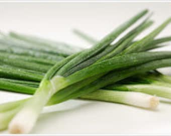 Szczypiorek, świeża cebula, nasiona - cebula dymka - 50 nasion - kod 121