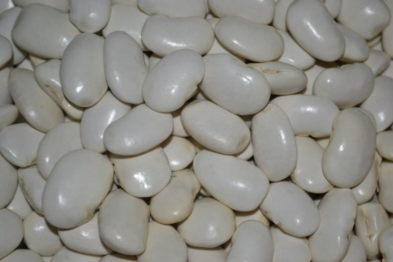 Giant Beens Seeds Butter Beans 30 Seeds Beans From Etsy