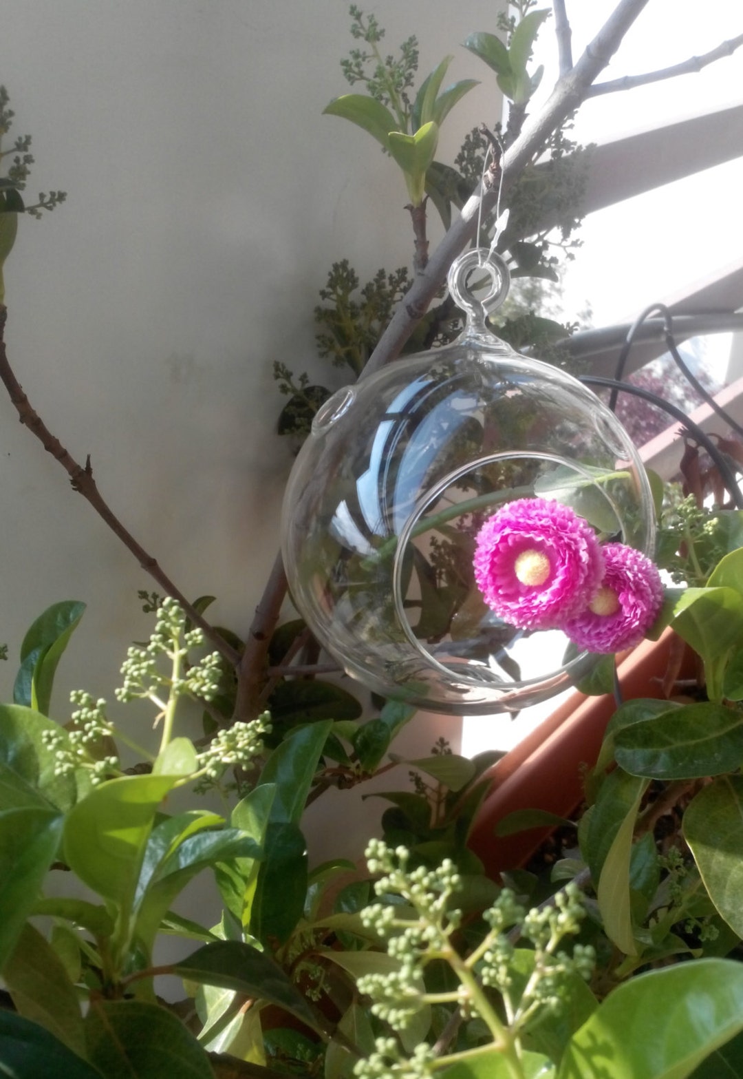 Terrarium Glass Globe Tea Light Glass Holder Etsy