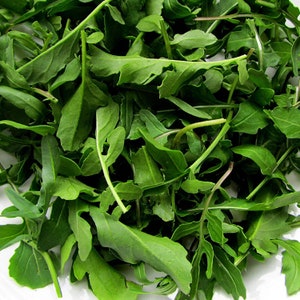 Rocket seeds, non gmo rocket seeds,119, arugola, heirloom garden in greece, salad vegetable,rocket herb,rocket chicory, gardening, 500 seeds