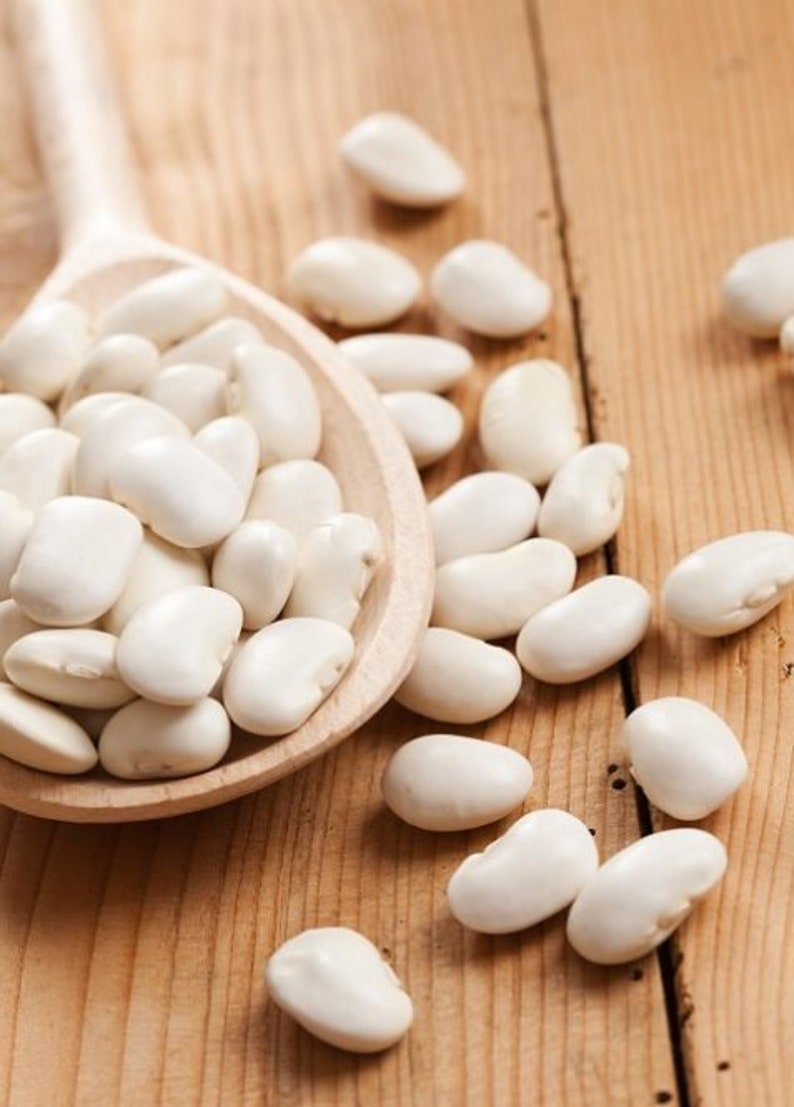 Giant Beens Seeds Butter Beans 30 Seeds Beans From Etsy