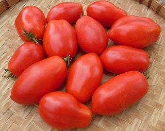 roma v.f. pomodoro tomatoes seeds -100 seeds - code 054 ,