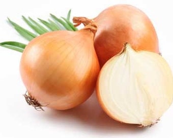 Organic heirloom Onions seeds, code 113, non gmo seeds,