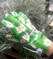 Green margaritas one size gardening gloves