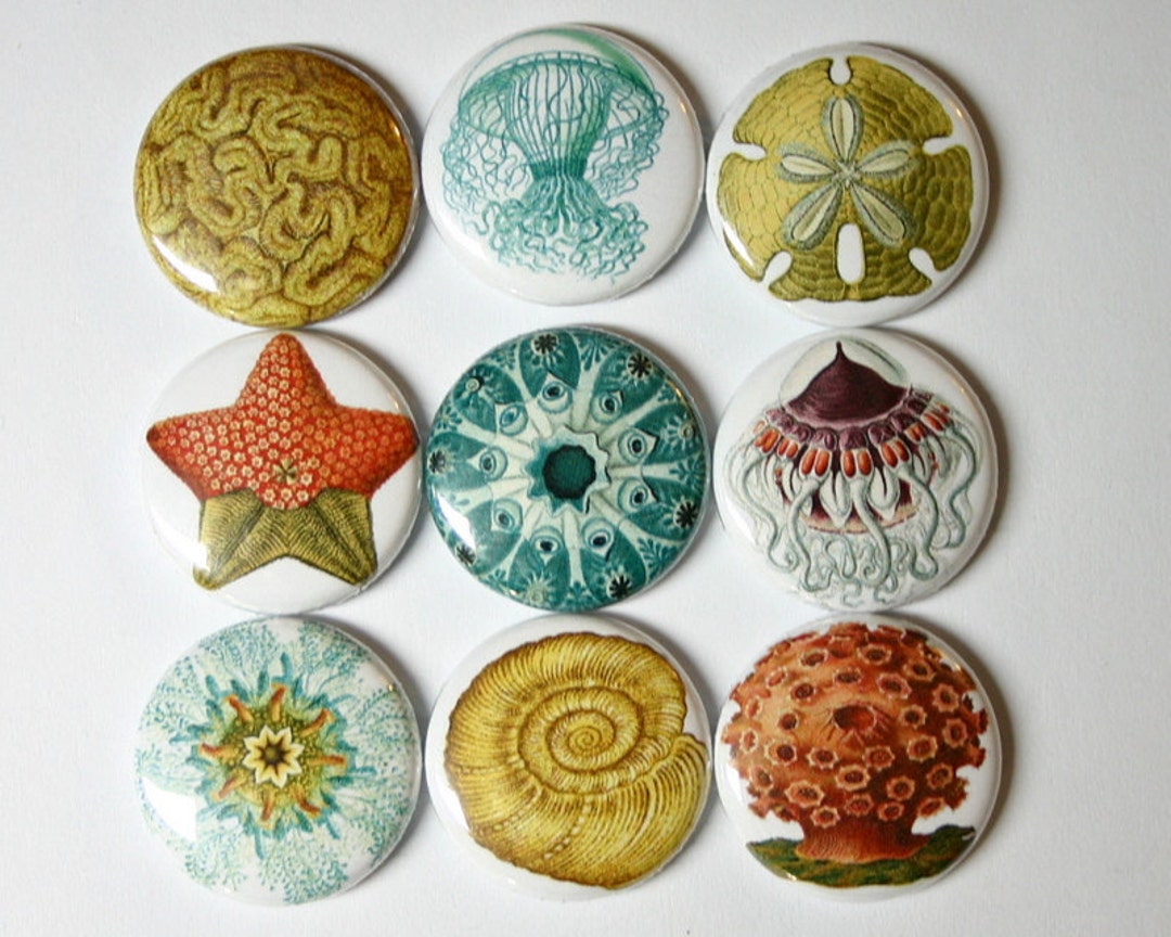 Beach Magnets Ocean Vintage Sea Life Shell Fridge Pin Badge Charm Cab ...