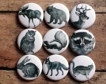 woodland animal fridge magnets set of nine pin badge button cab charm