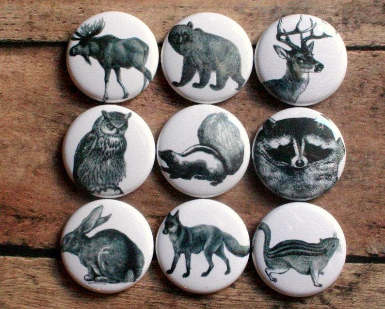 Woodland Animal Fridge Magnets Set of Nine Pin Badge Button Cab Charm ...