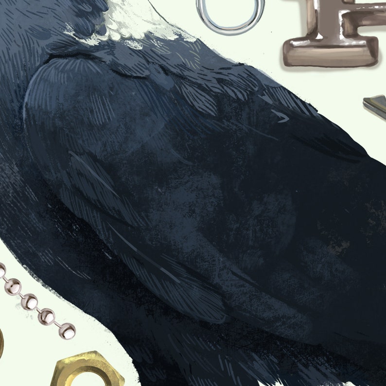 Op de afbeelding: Een close-up van de zwarte vleugelveren van een raaf. De veren zijn gedetailleerd en getextureerd, wat de ingewikkelde patronen van het verenkleed van de vogel laat zien.