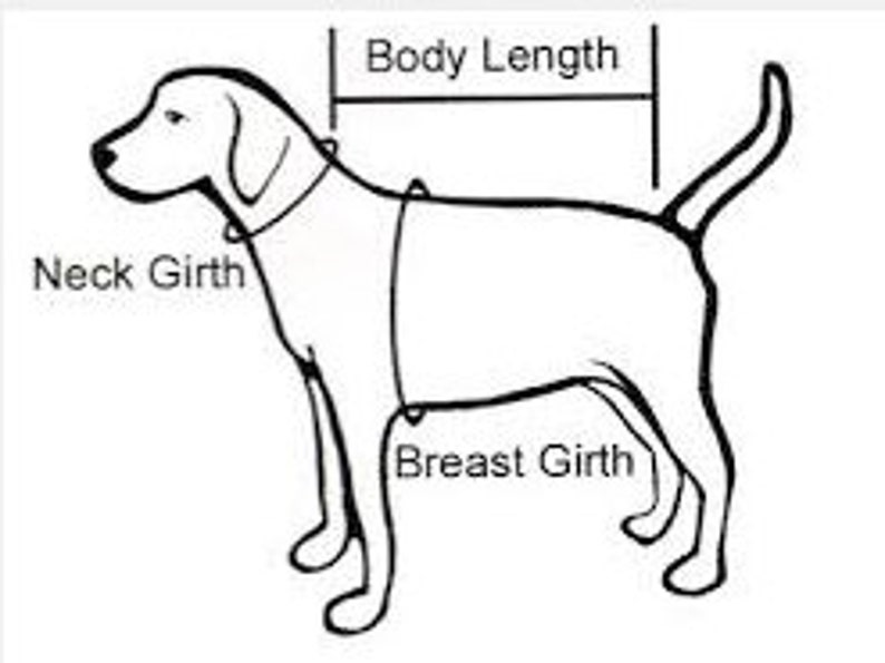 XXS Paisley Dog Harness Vest Tiny Dog Harness With Ruffles Etsy