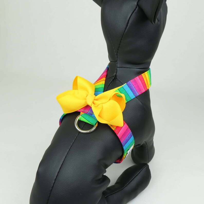 Rainbow Dog Harness Select Bow Pet Harness Etsy