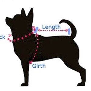 May include: A black silhouette of a dog with labeled measurement points for neck, length, and girth. Dotted lines and arrows indicate where to measure for a proper fit. The text labels are in blue.