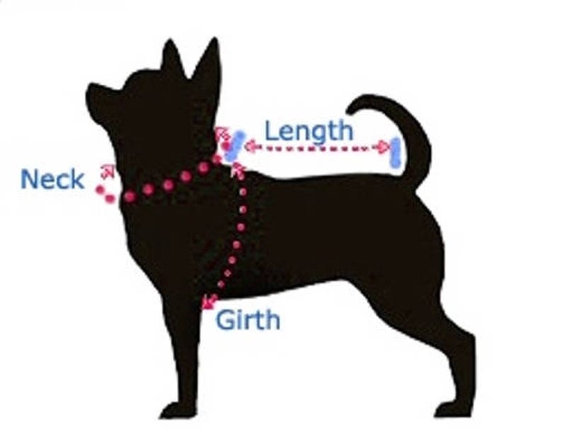 May include: A black silhouette of a dog with labeled measurement points for neck, length, and girth. Dotted lines and arrows indicate where to measure for a proper fit. The text labels are in blue.
