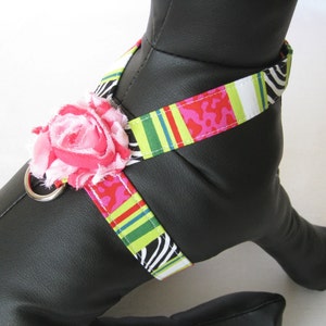 Pet Harness &quot;Amore&quot; - Tiny Dog Harness - Small Dog Harness.
