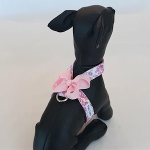 May include: A pink floral dog harness with a pink bow and a silver D-ring. The harness has the text "Paw Love" printed on it.