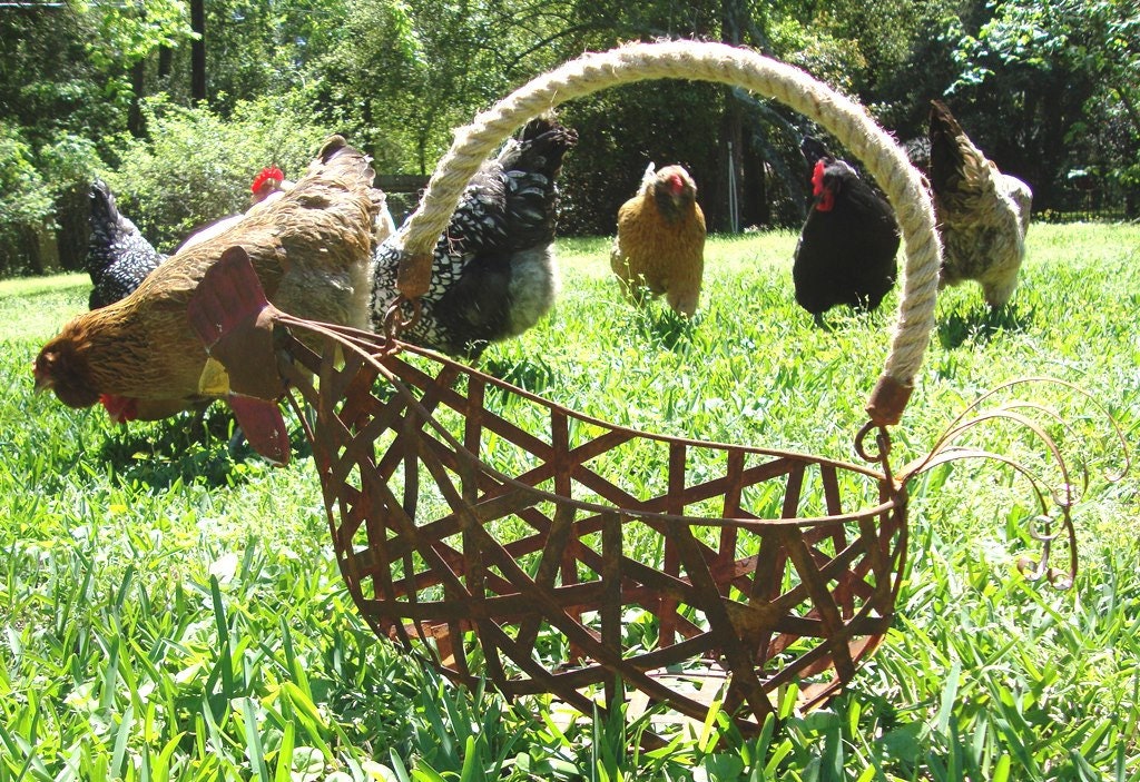 Large Rusty Chicken Egg Basket Centerpiece Farmhouse Shabby Chateau